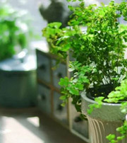 吉安专属于你的开运指南，助你鸿运当头福满身！