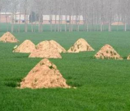 吉安阴宅风水：形峦三十六绝